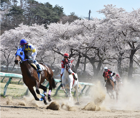 福島県南相馬市