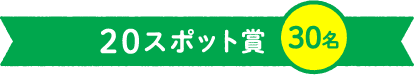 20スポット賞 30名