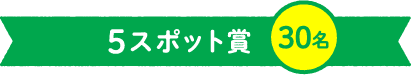 5スポット賞 30名