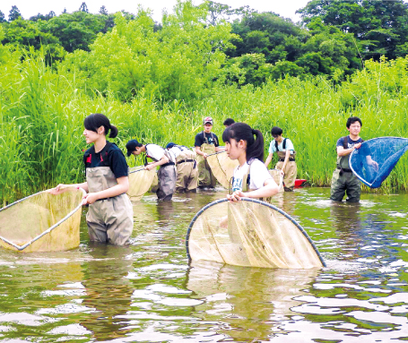 宮城県栗原市・登米市