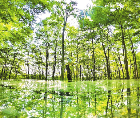 山形県朝日町