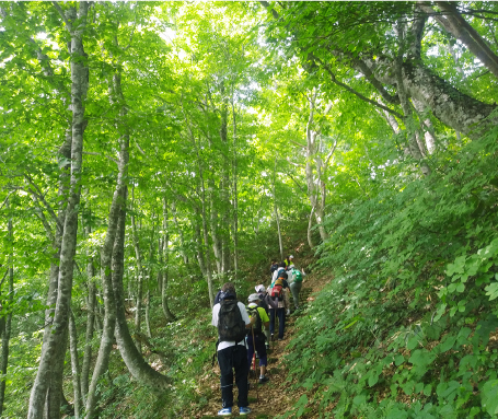 山形県最上地域