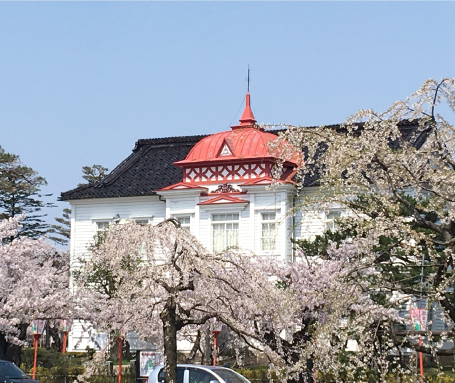 山形県鶴岡市
