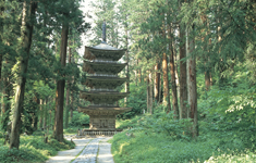 羽黒山杉並木