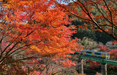 矢祭山