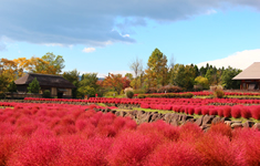みちのく杜の湖畔公園