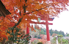 志波彦神社・鹽竈神社