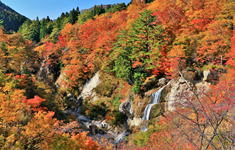 面白山紅葉川渓谷