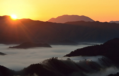 十分一山の雲海