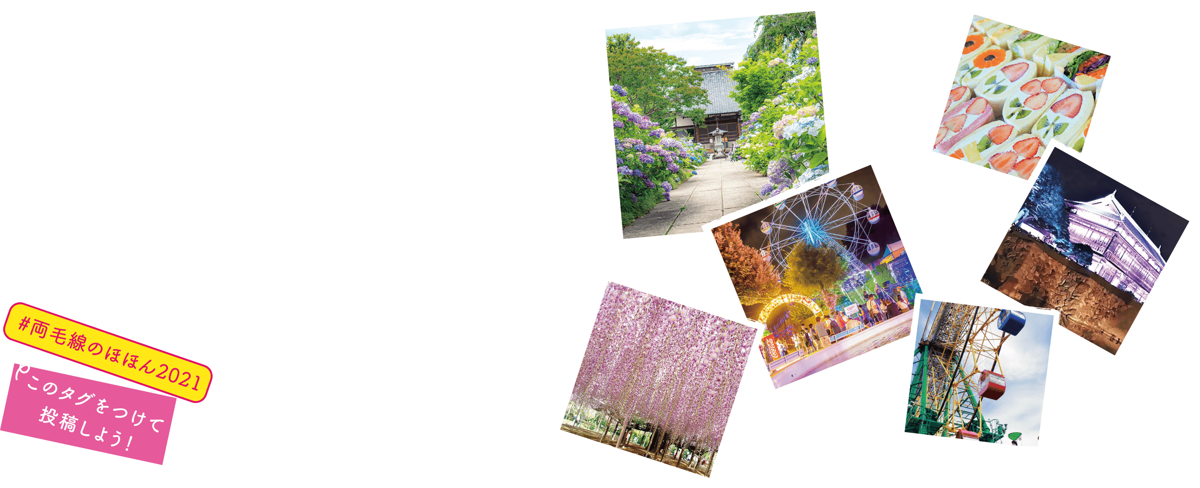 Nohohon のほほんフォトコンテスト photo contest 2021