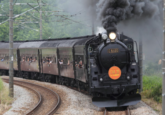 SL_image