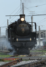 SL_image