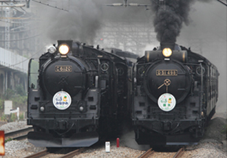 SL_image