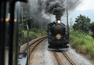SL_image