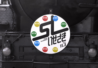 SL_image