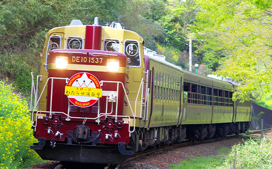 3色にキャラメリゼした わたらせ渓谷鐵道レトロスタイル