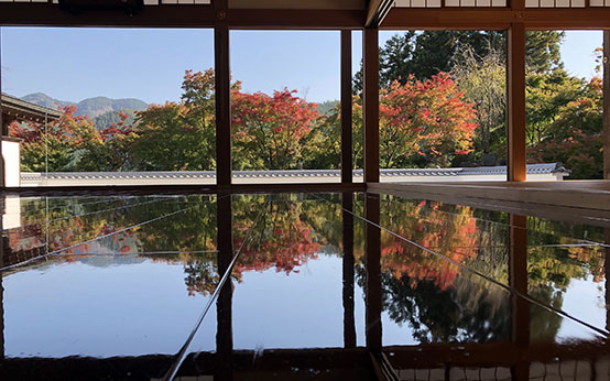 鐘楼の音が葉を散らす宝徳寺の床もみじ浸し
