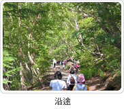 沿途