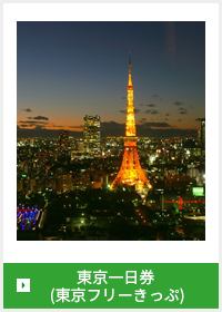 東京一日券(東京フリーきっぷ)