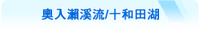 奧入瀨溪流/十和田湖