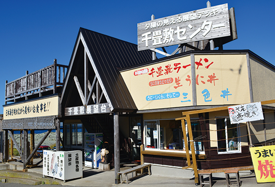 魚粉バカ