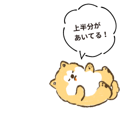 上半分があいてる！