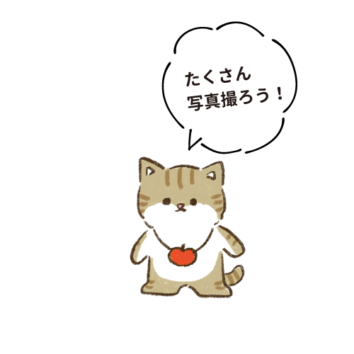 たくさん写真撮ろう！
