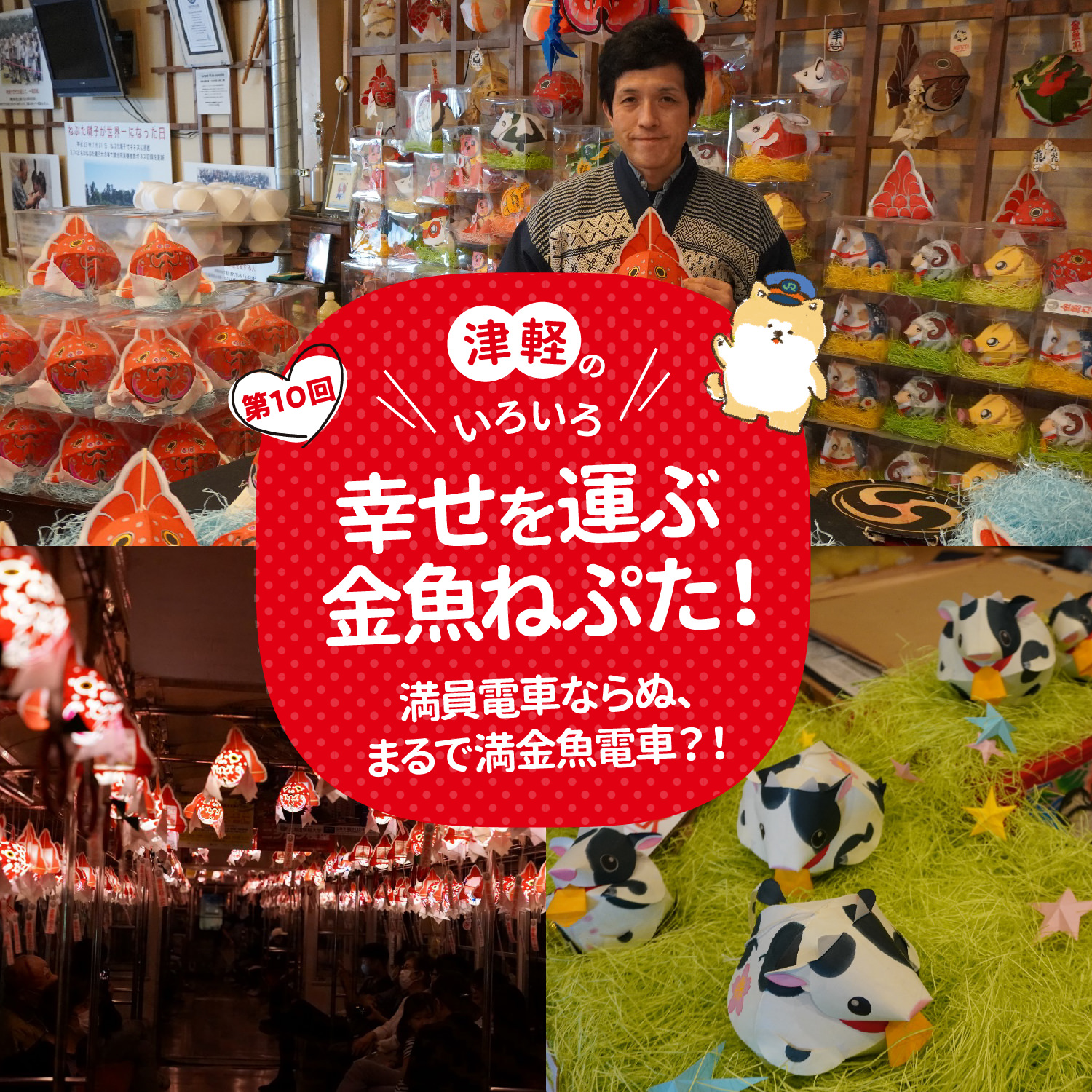 コロンっとまあ～るい金魚ねぷた。クリックリなおめめが可愛いんです！気軽にねぷた祭り気分が味わえます！
