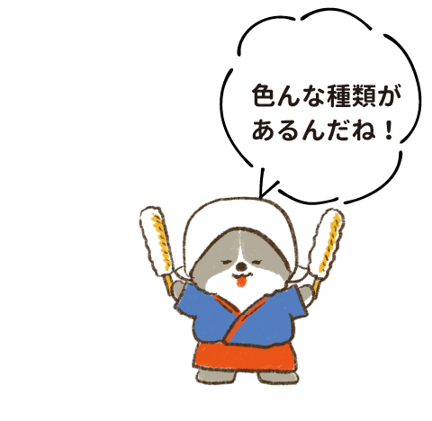 色んな種類があるんだね