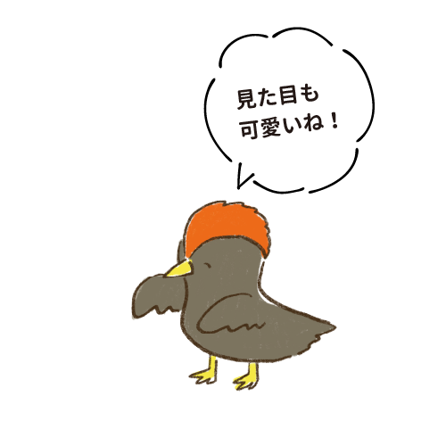見た目も可愛いね！