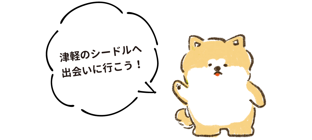 津軽のシードルへ出会いに行こう！