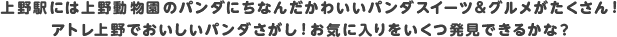上野駅には上野動物園のパンダにちなんだかわいいパンダスイーツ＆グルメがたくさん！アトレ上野でおいしいパンダさがし！お気に入りをいくつ発見できるかな？