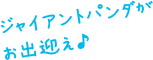 ジャイアントパンダがお出迎え♪