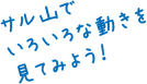 サル山でいろいろな動きを見てみよう！