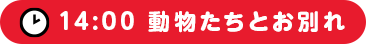 14:00 動物たちとお別れ