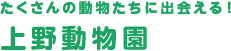 たくさんの動物たちに出会える！上野動物園