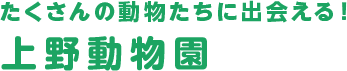 たくさんの動物たちに出会える！上野動物園