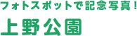 フォトスポットで記念写真！上野公園