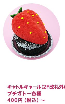 キャトルキャール プチガトー各種 400円（税込）～