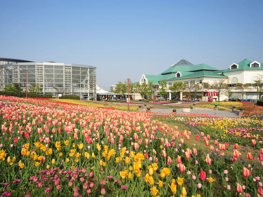 道の駅「新潟ふるさと村」
