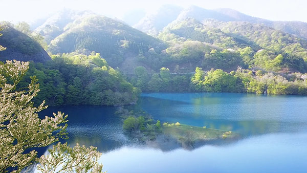 撮影地 イメージ