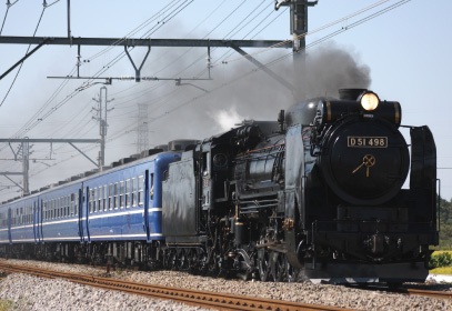SL（D51）