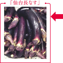 「仙台長なす」