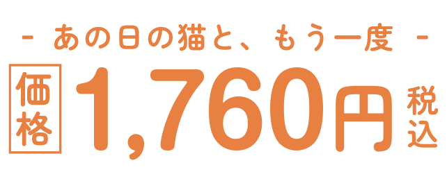 あの日の猫と、もう一度。価格1,760円税込
