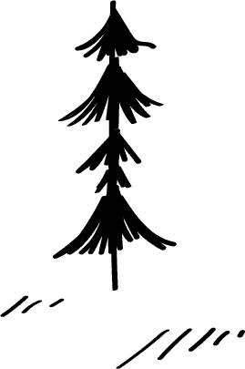 木
