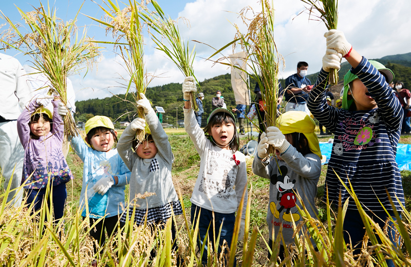 多くの出会いをつなぎ、「たかたのゆめ」が育む希望の種 写真5