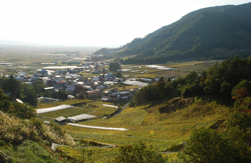 人口2万3千人の町が起こした奇跡。 写真1