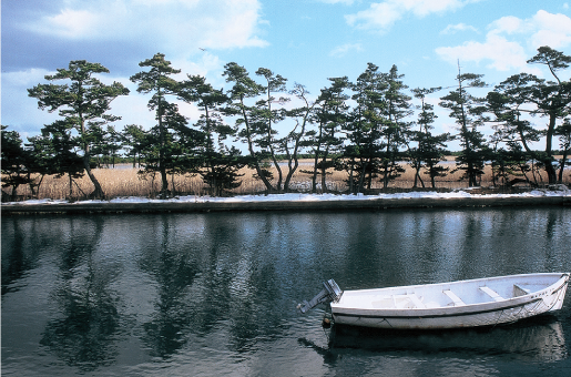 貞山運河