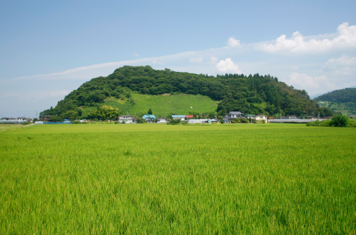 長谷堂城跡公園（長谷堂城址）