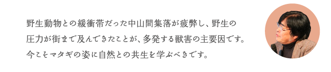 野生動物との緩衝帯だった中山間集落が疲弊し、野生の圧力が街まで及んできたことが、多発する獣害の主要因です。今こそマタギの姿に自然との共生を学ぶべきです。